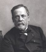 By Nadar - File:Louis Pasteur, foto av Félix Nadar.jpg, Public Domain, https://commons.wikimedia.org/w/index.php?curid=28039885