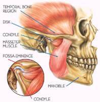 Temporomandibular Joint or TMJ